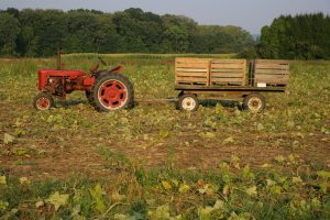 Hadley Farm and Tractor 30BK8432 small